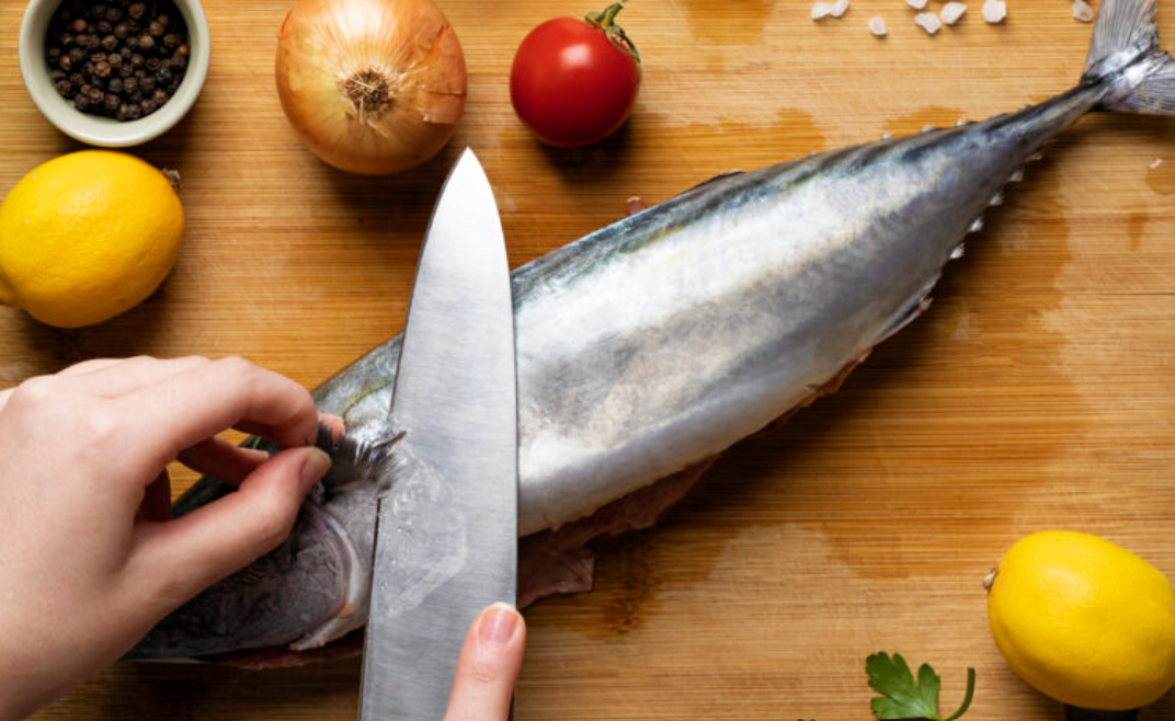 Best Fillet Knives for Saltwater Fish in 2024