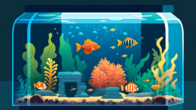 Discover the Perfect 20gal Long Aquarium for Your Aquatic Oasis