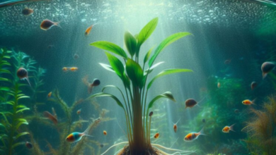 Silk Aquarium Plants: Vibrant & Easy Care Decor