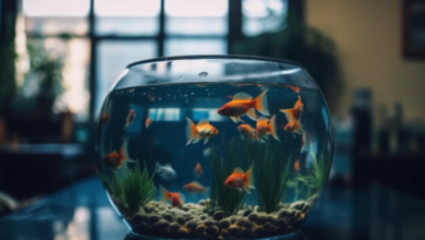 Terry’s Aquarium & Pet Center – Your Pet Haven